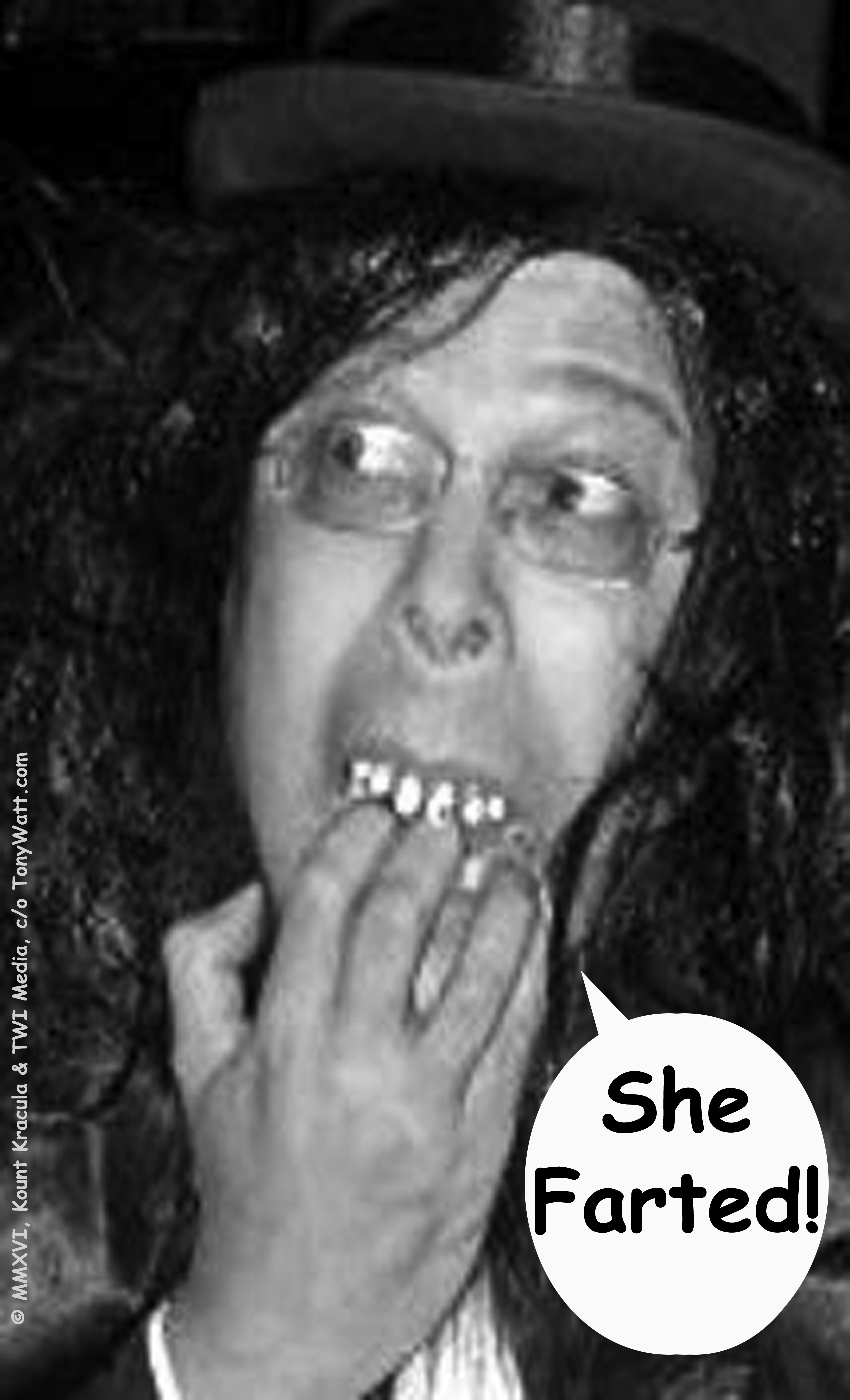 Kount Kracula's Review Showcase -: 'Kount Kracula's Twisted Sinema'- Book Review