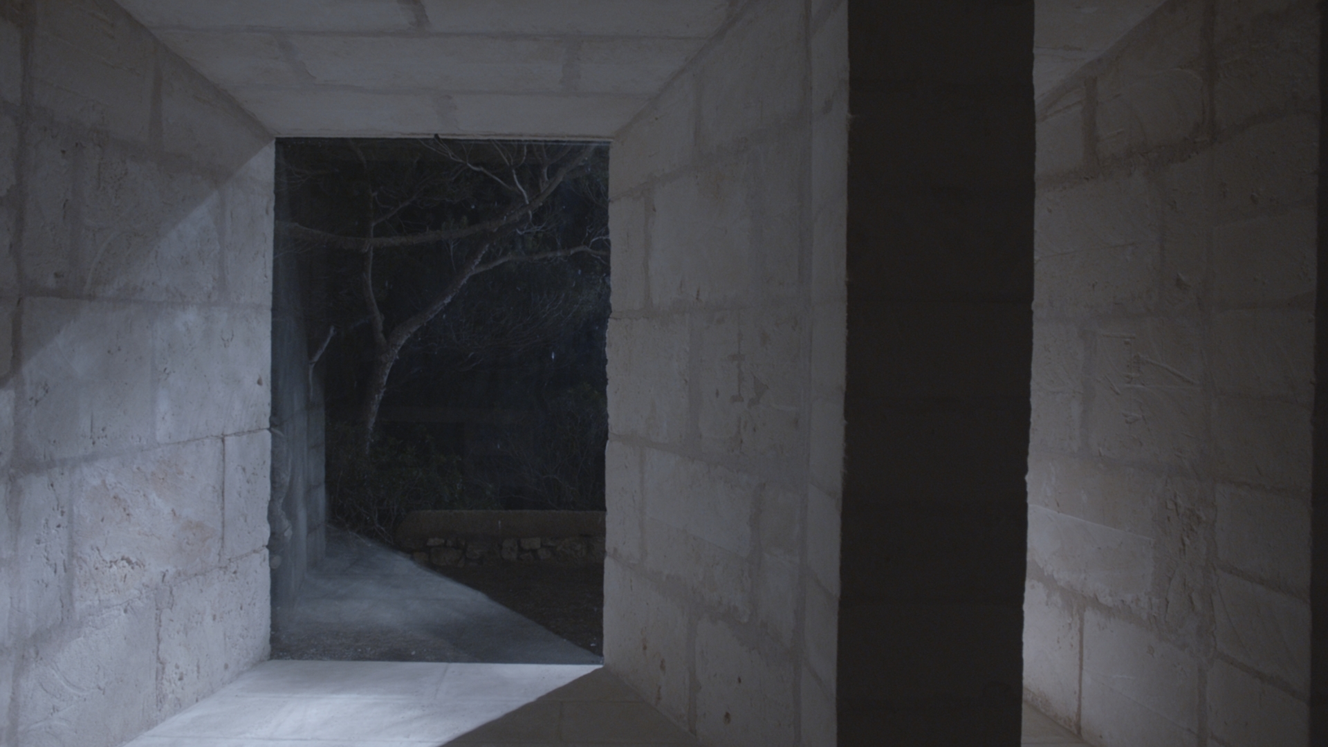 Light Without Sun_2025