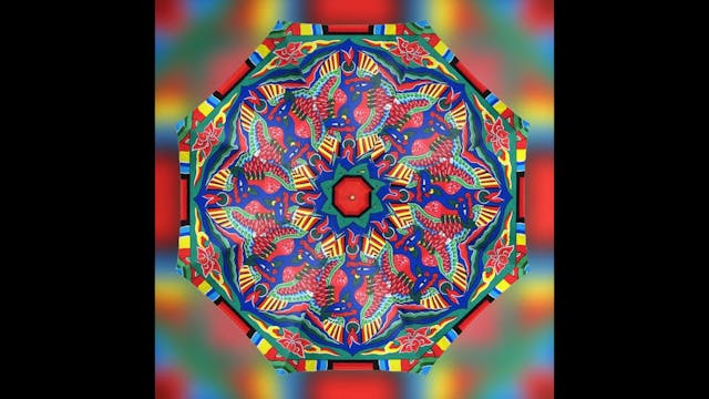 Kristie Kim Design on Contrado