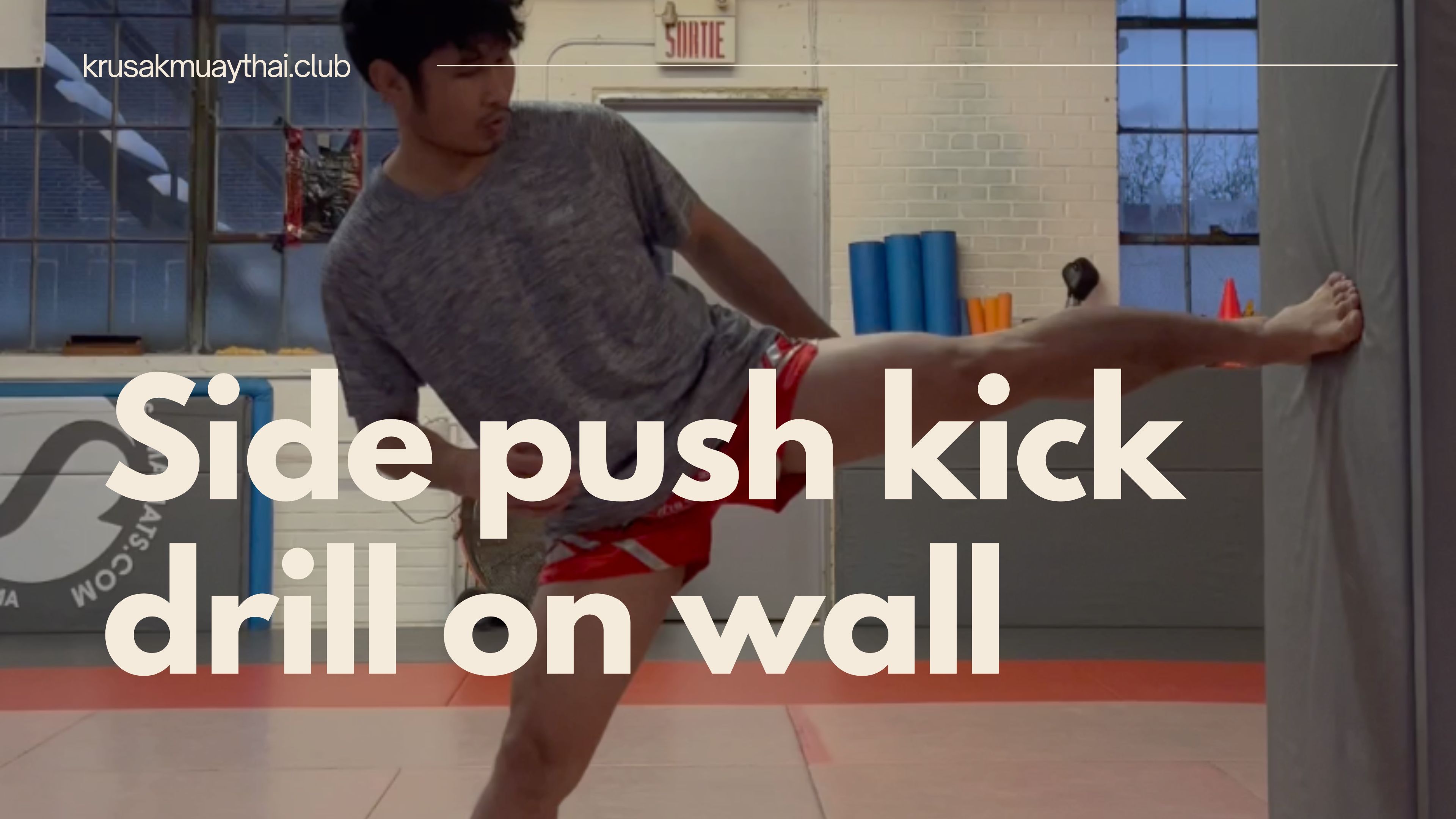 Side push kick drill