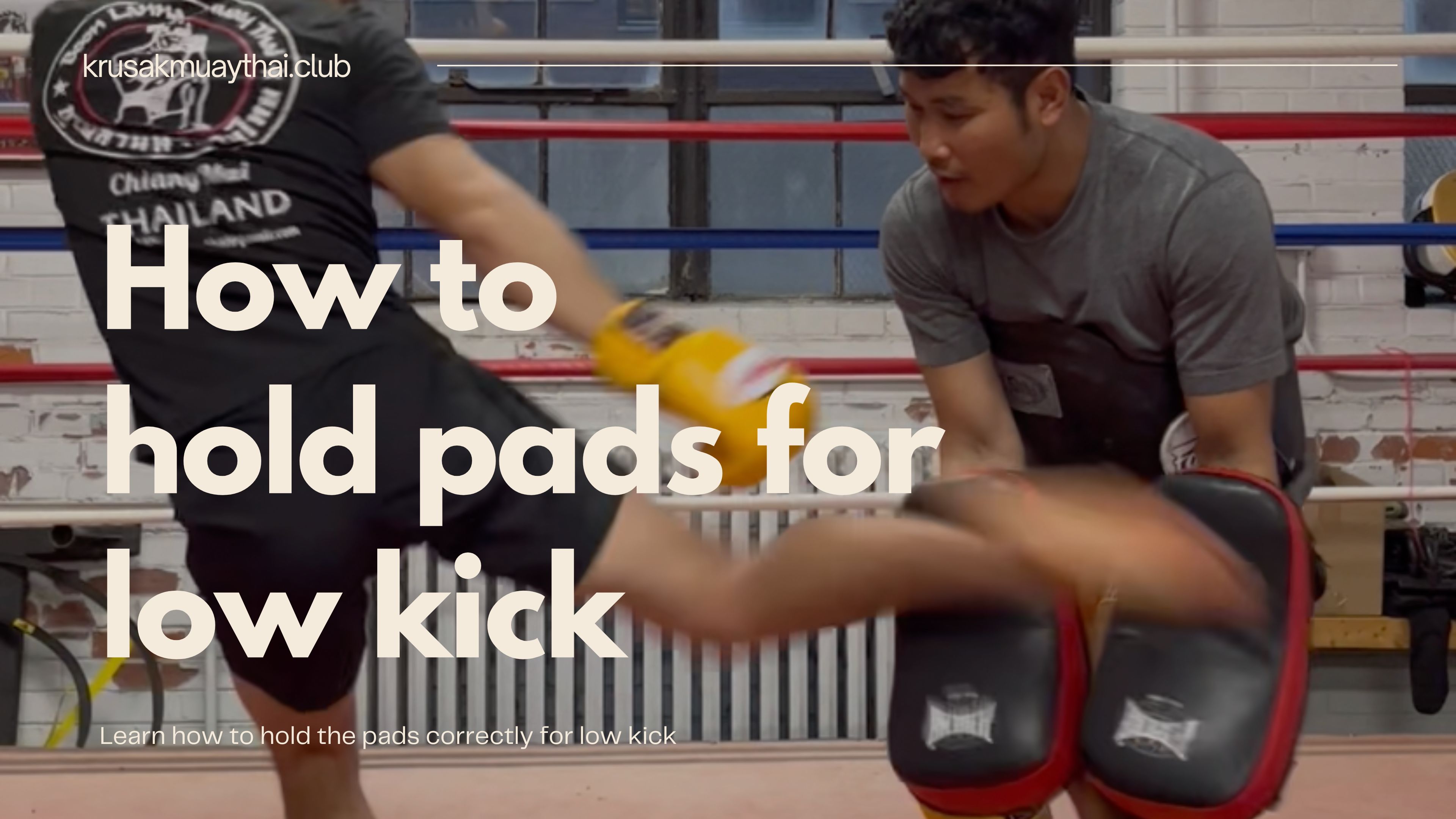 How to hold pads for low kick
