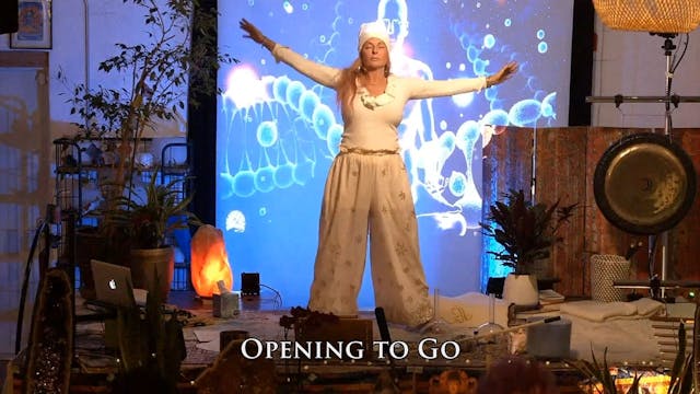 Opening to Go