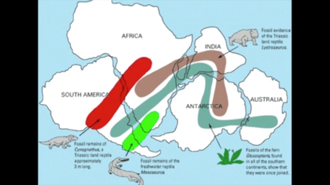 Part 1.3 History Series - Pangea and shifting Poles