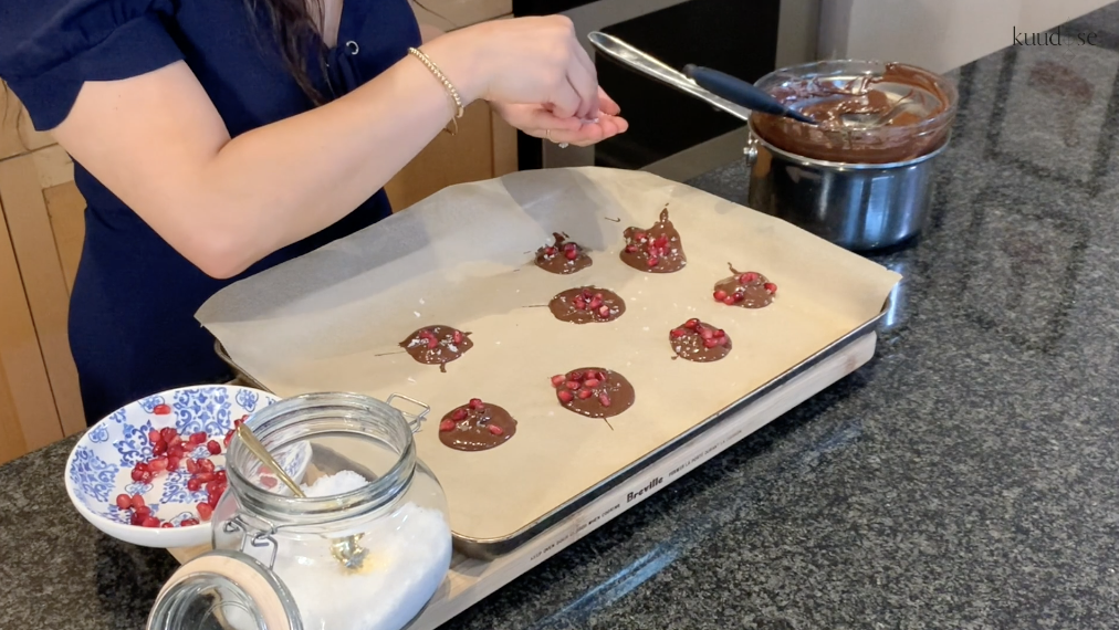 Chocolate Pomegranate Disks
