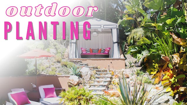 Outdoor Planting with a Pro