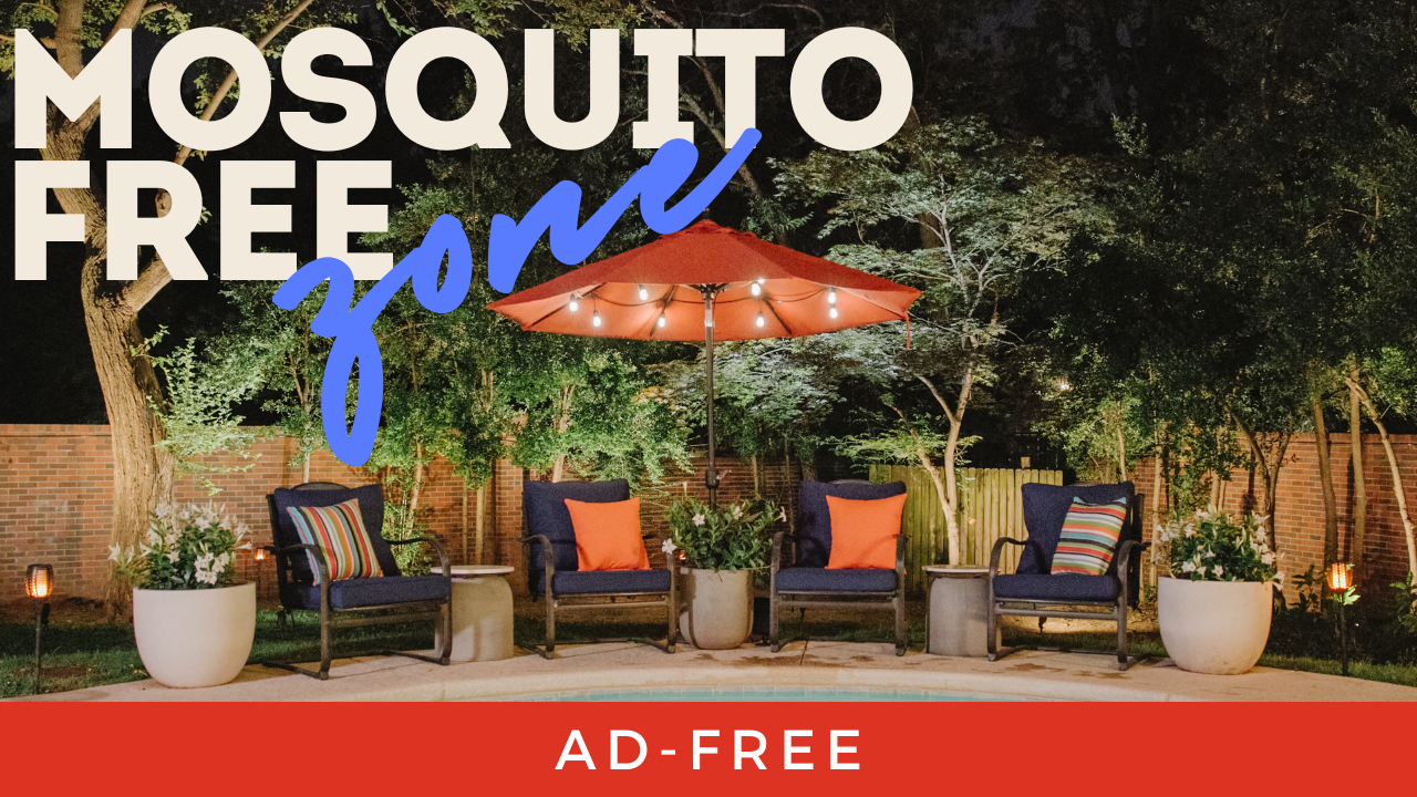 Mosquito Free Backyard Makeover | Tips from an Interior Designer