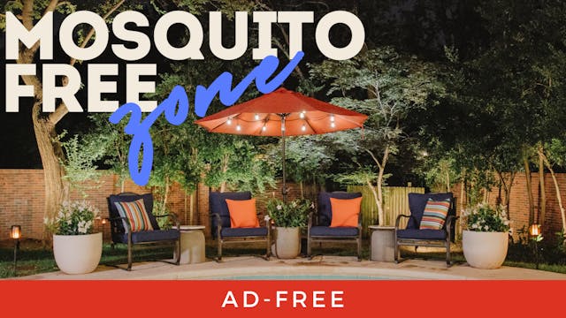 Mosquito Free Backyard Makeover | Tip...