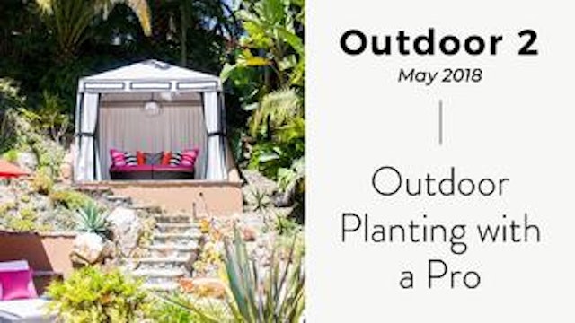 Outdoor Planting with a Pro