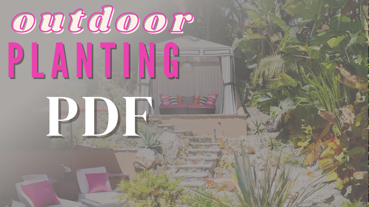 PDF | Outdoor Planting with a Pro