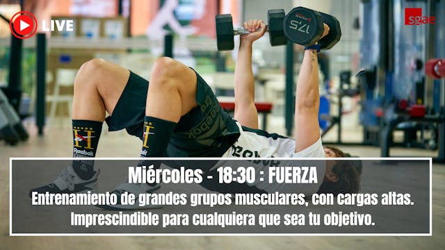 FUERZA - 488 - 19/11/25