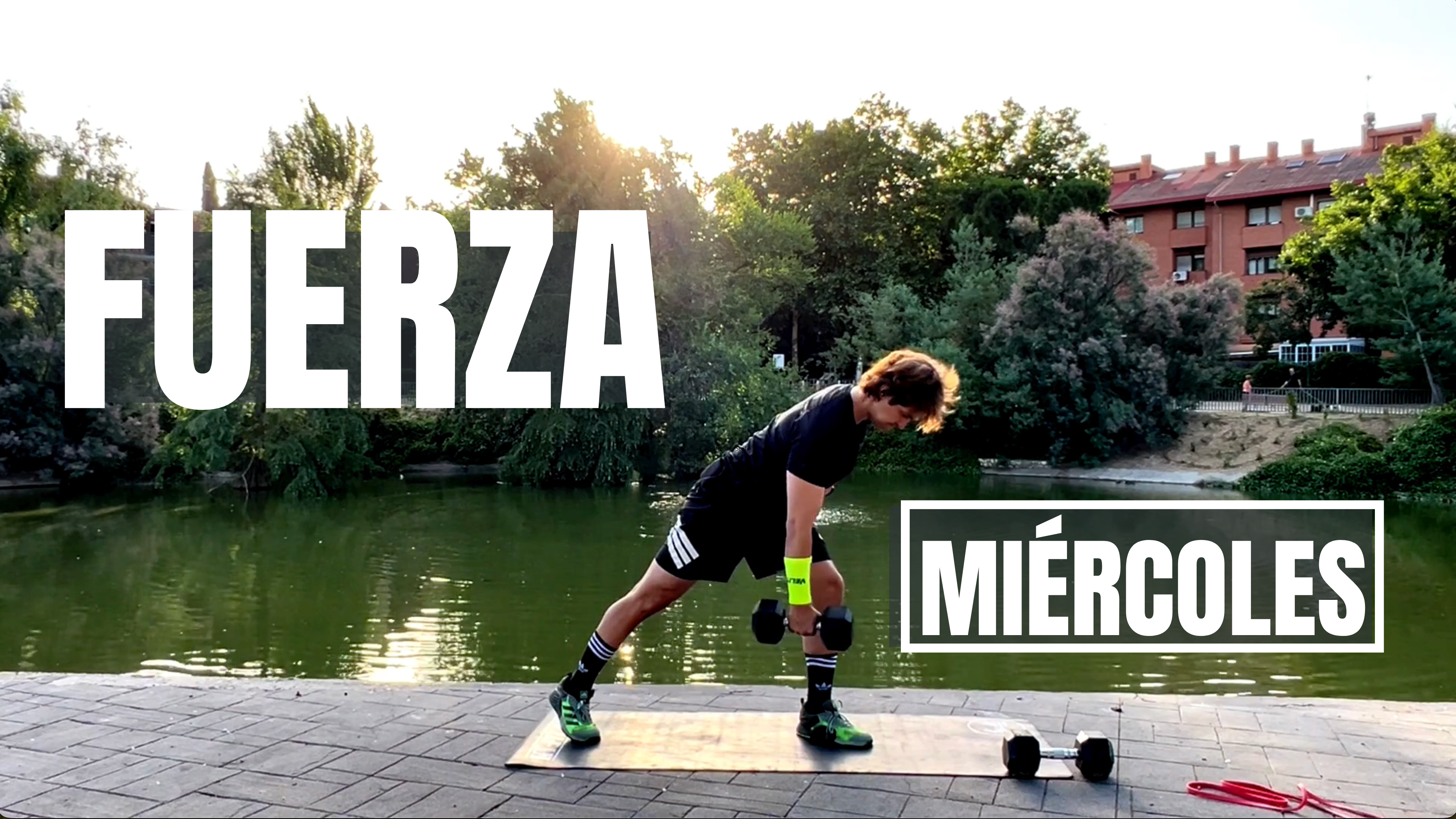 FUERZA - 04 | VERANO 2026 | 01-7-26