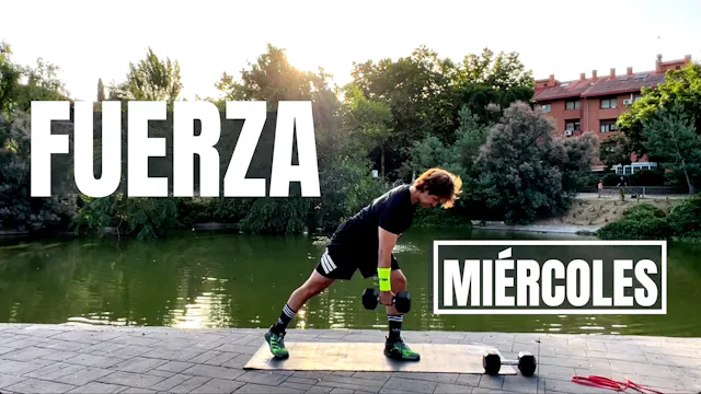 FUERZA - 04 | VERANO 2026 | 01-7-26
