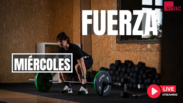 FUERZA - 73 | TEMP. 25/26 | 10-06-26