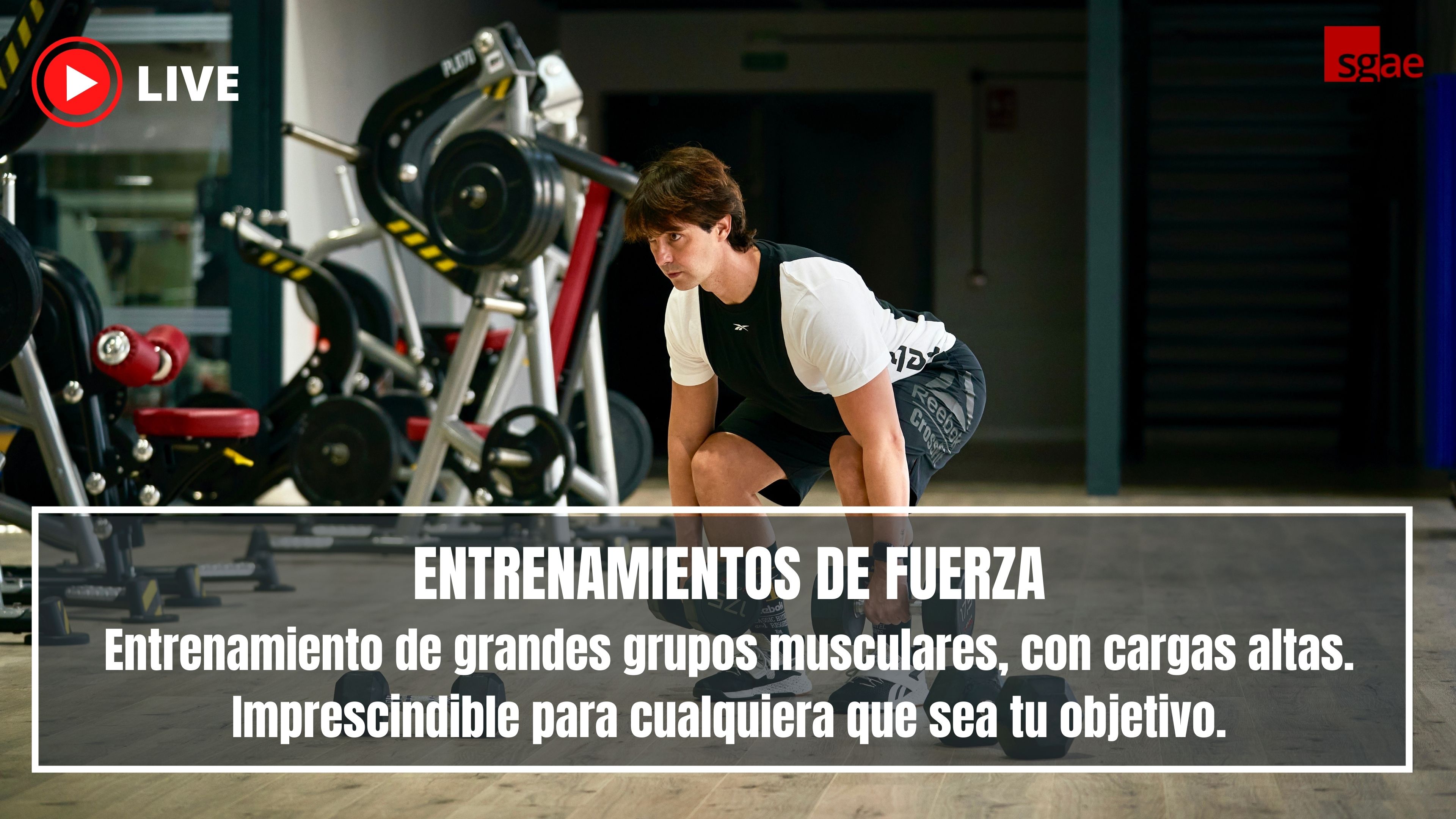 Ejemplo clase Fuerza