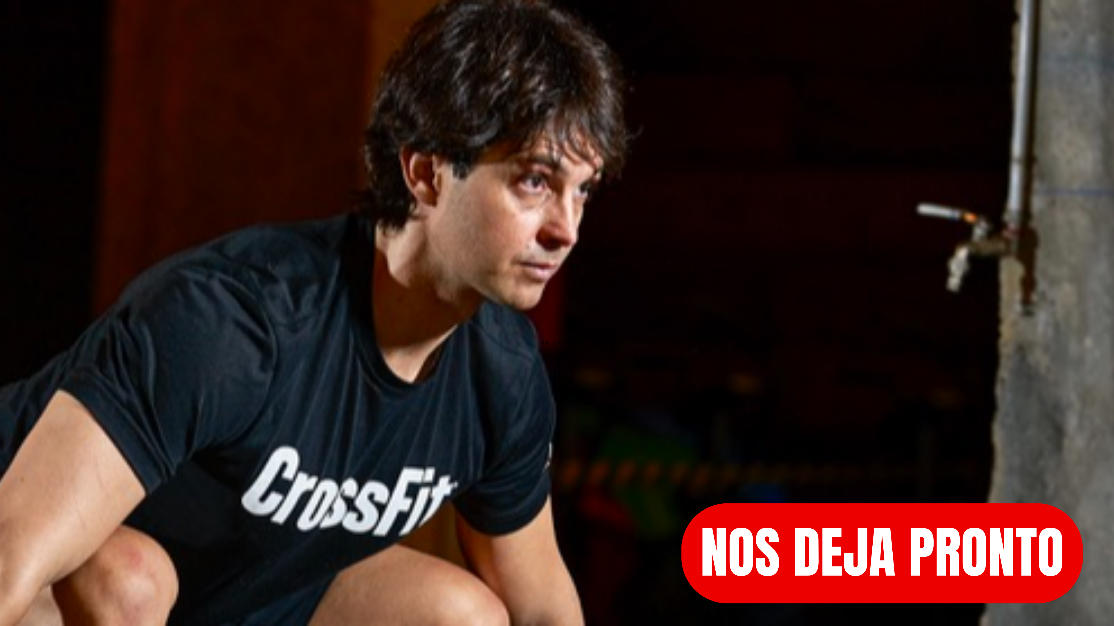 Masa muscular - FASE 19