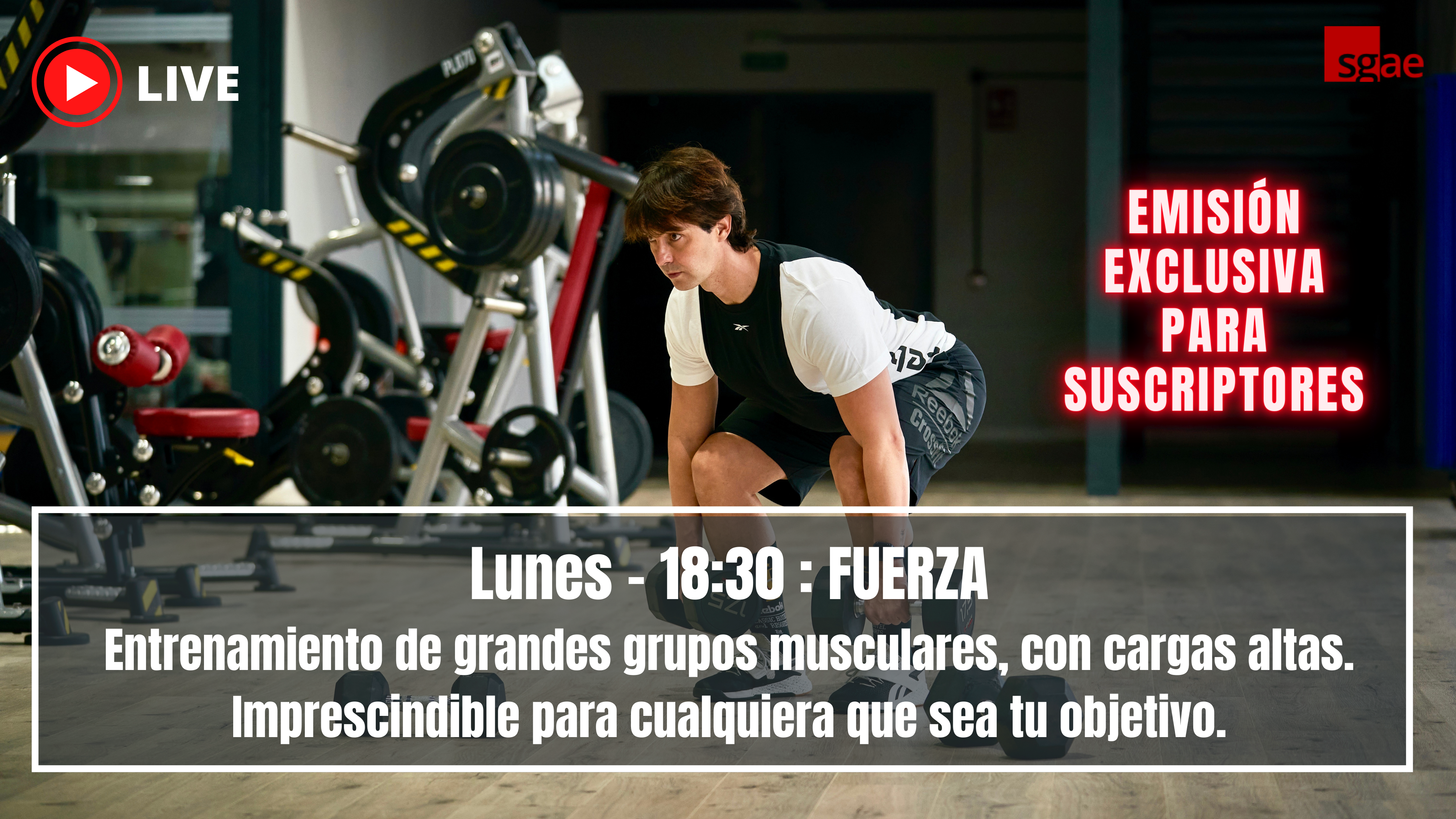 FUERZA - 513 - 02/03/26