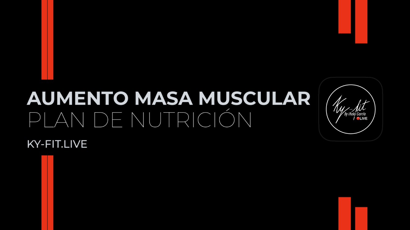 Plan Nutrición Noviembre 2025 - Aumento Masa Muscular