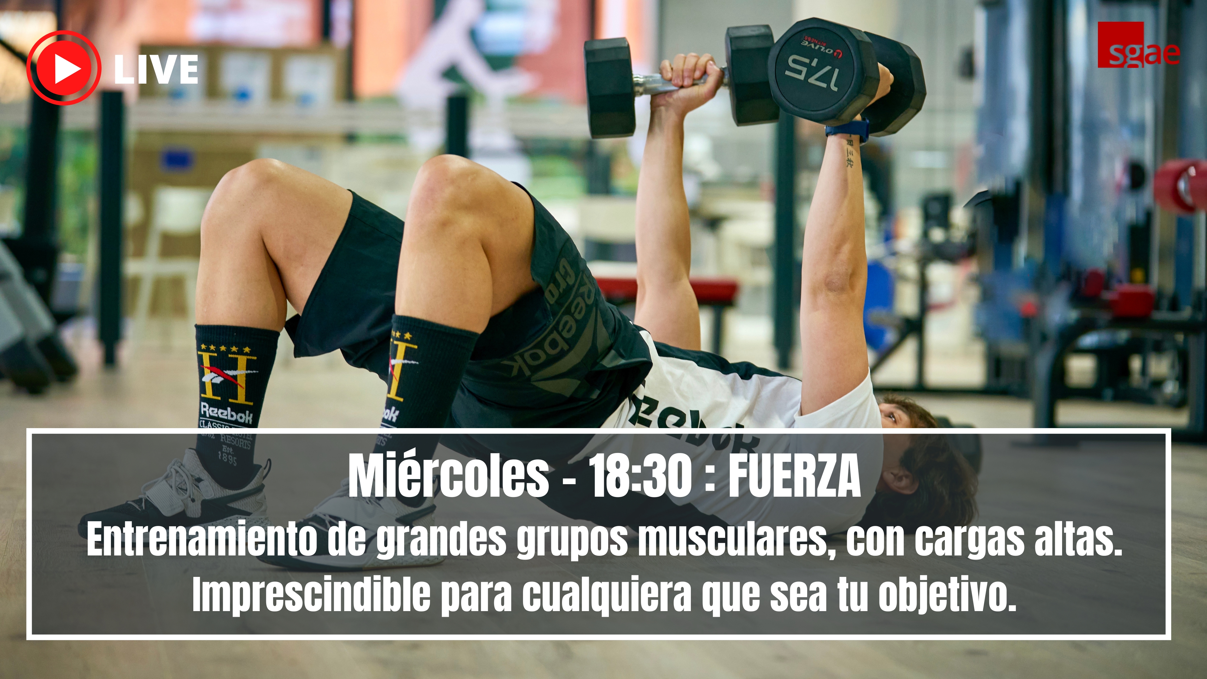 MIERCOLES - 15/4 - 18:30 - FUERZA
