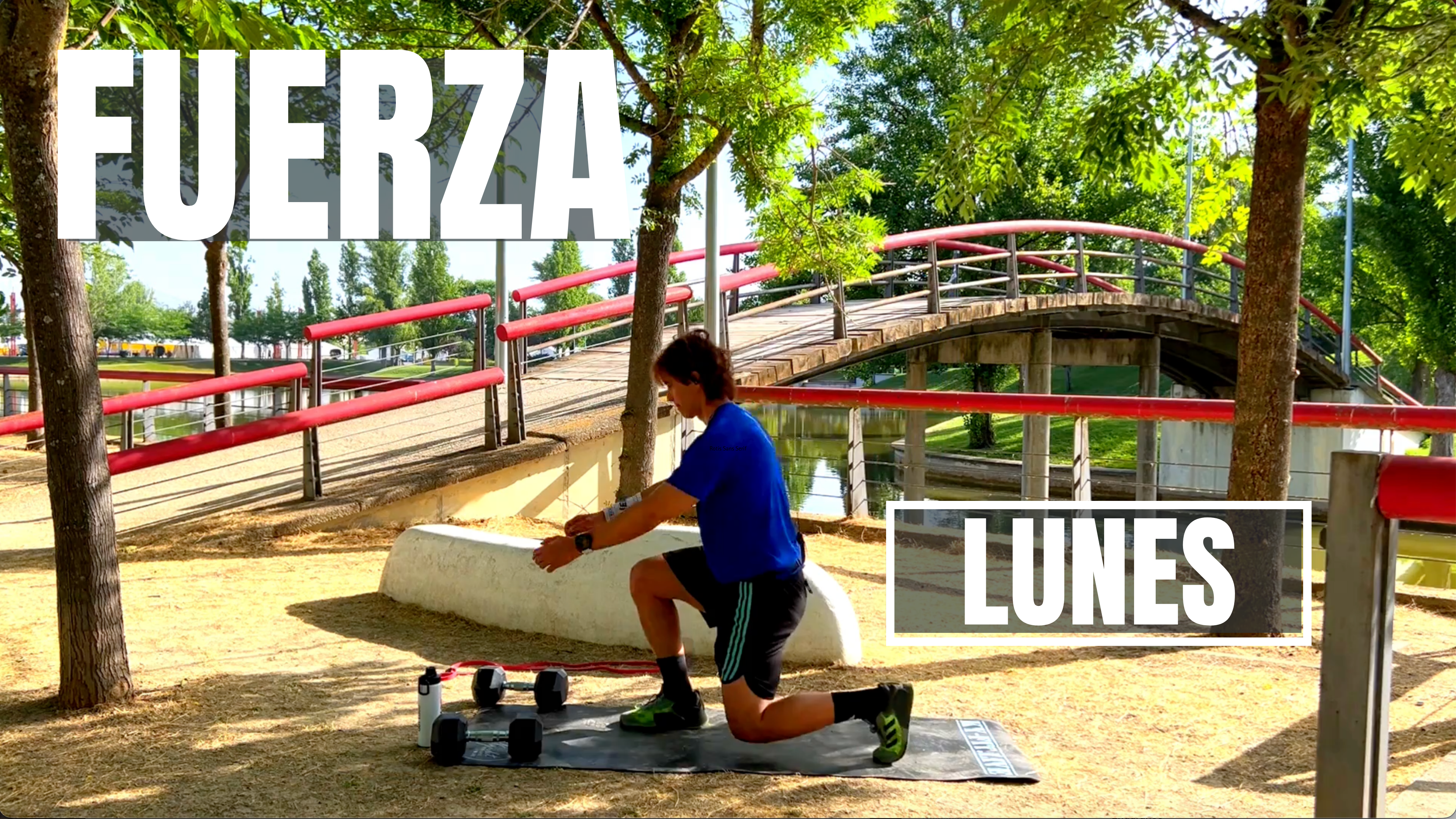 FUERZA - 03 | VERANO 2026 | 29-6-26