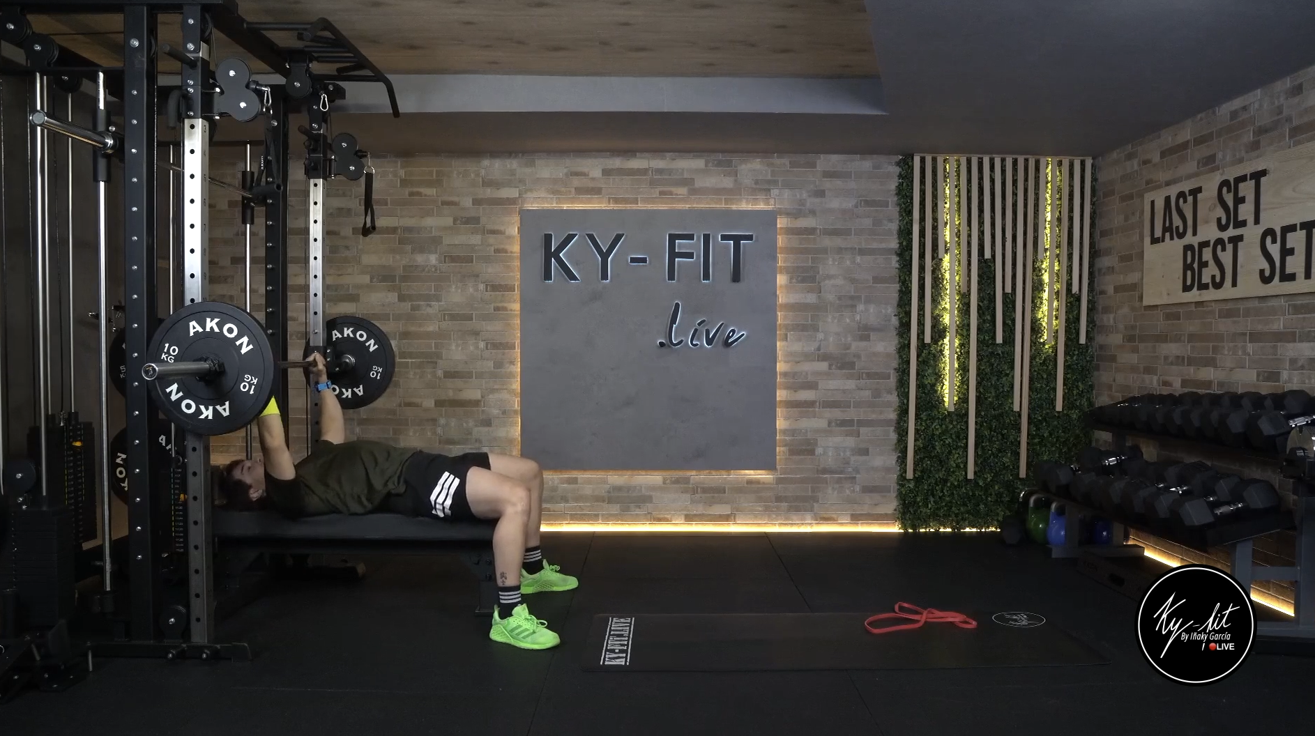 FUERZA - 508 - 11/02/26