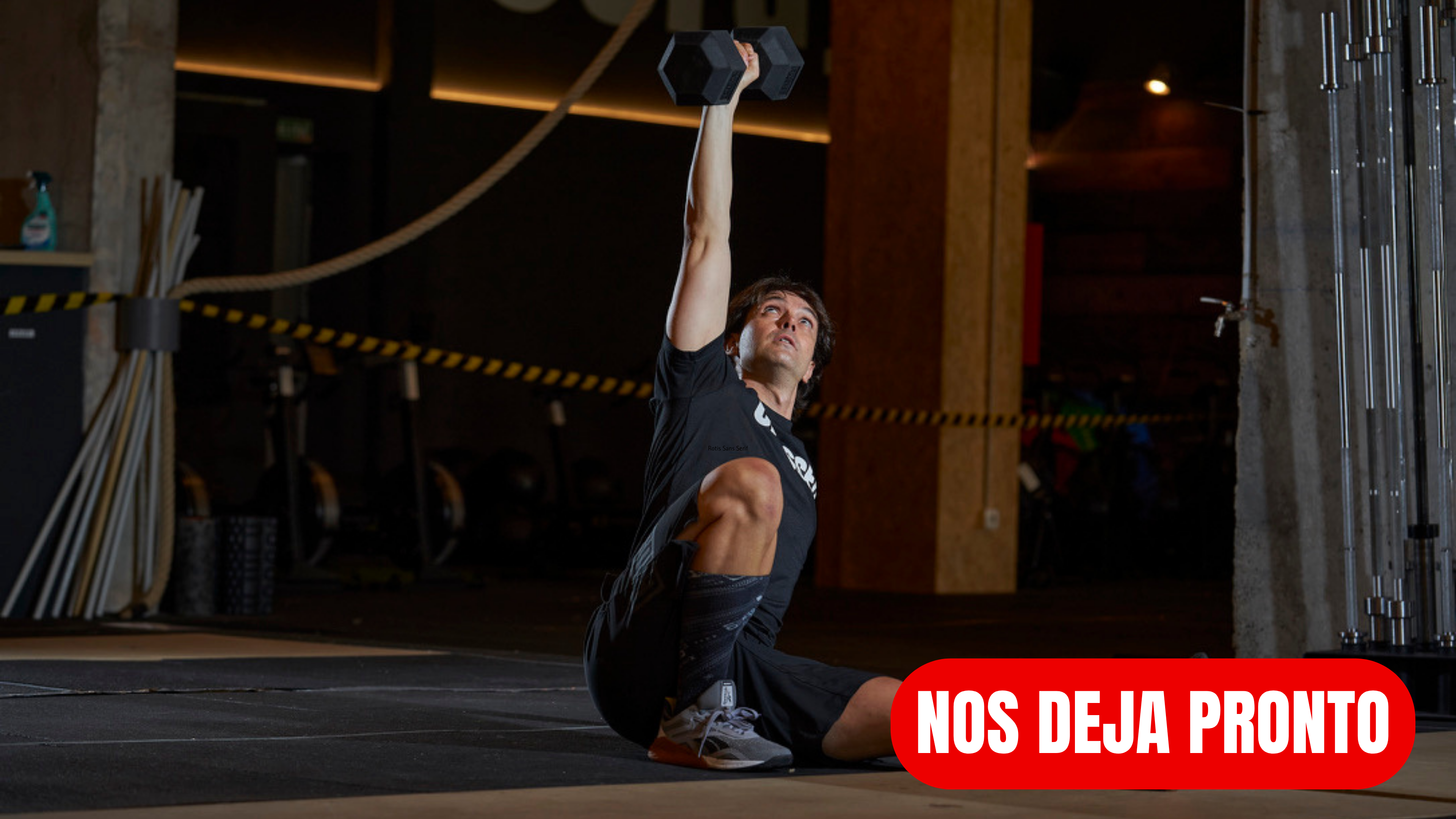 Masa muscular - FASE 14