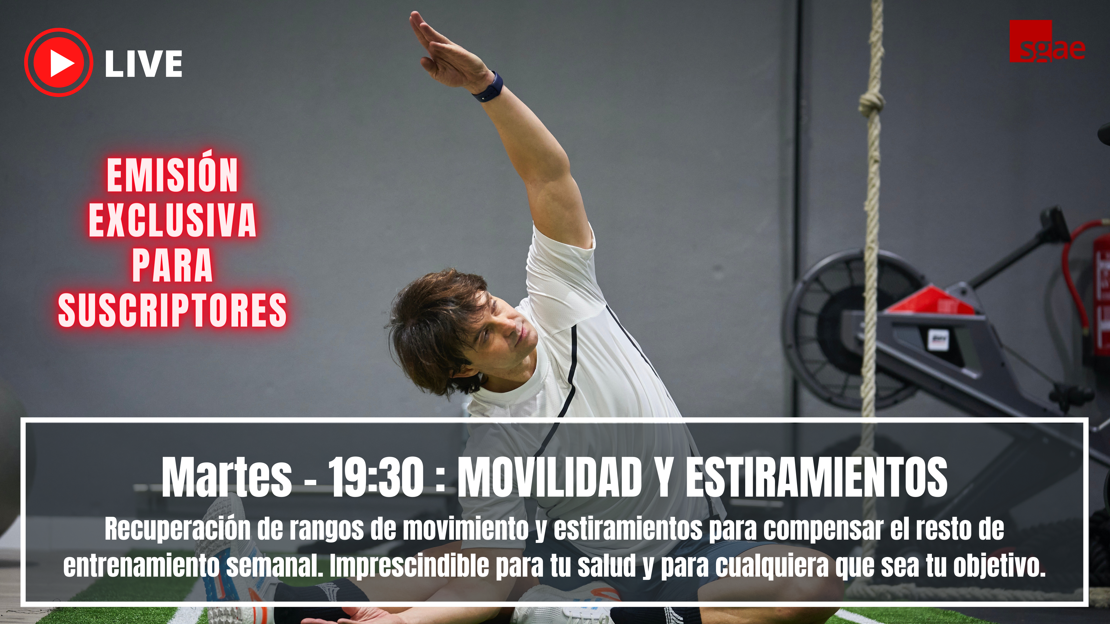 MOVILIDAD Y ESTIRAMIENTOS - 85 - 22/11/22