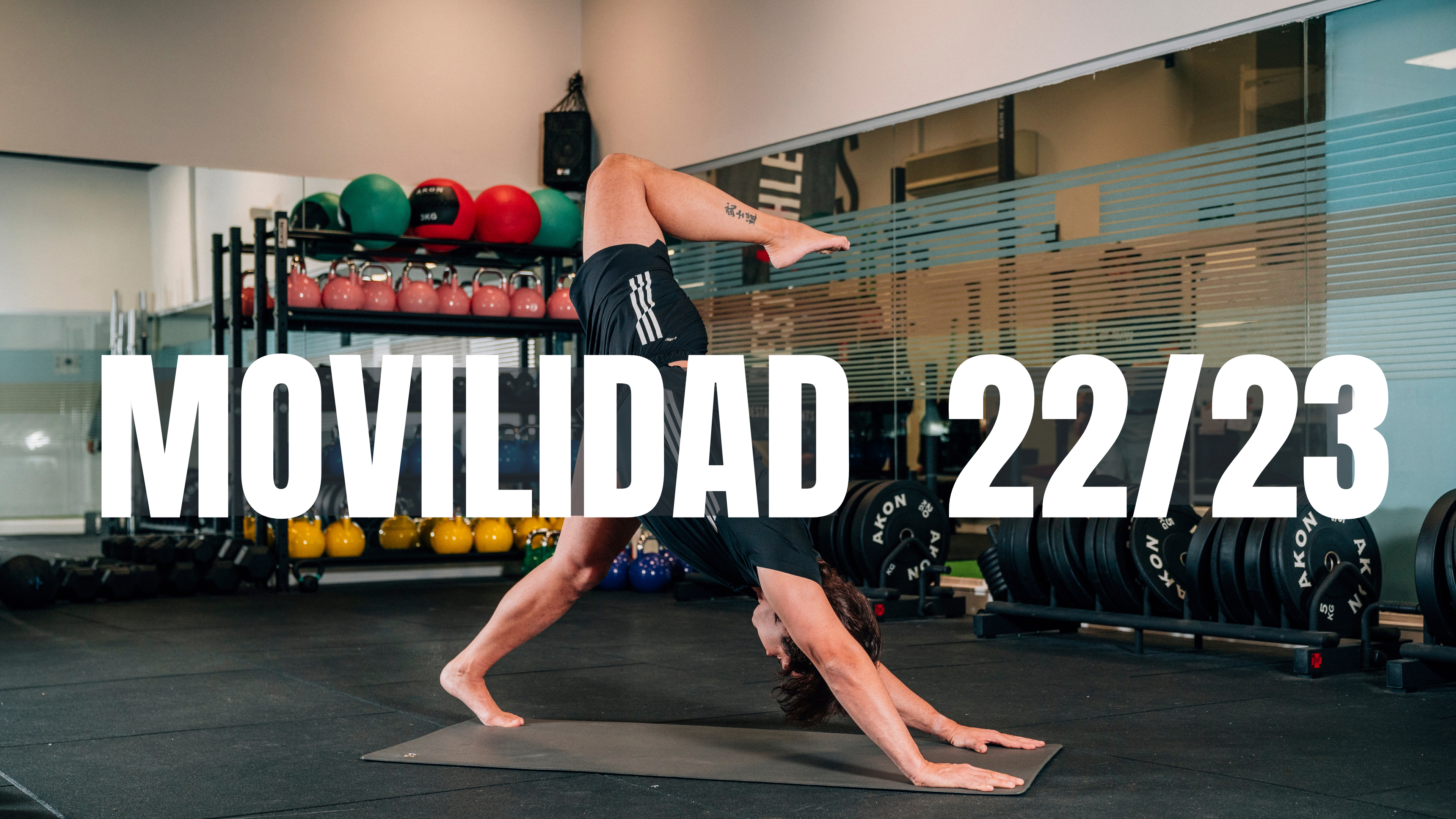 MOVILIDAD Y ESTIRAMIENTOS | TEMP. 22/23