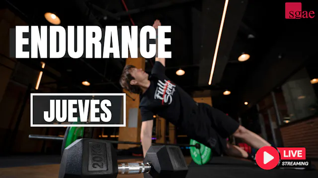 ENDURANCE - 223 - 14/05/26