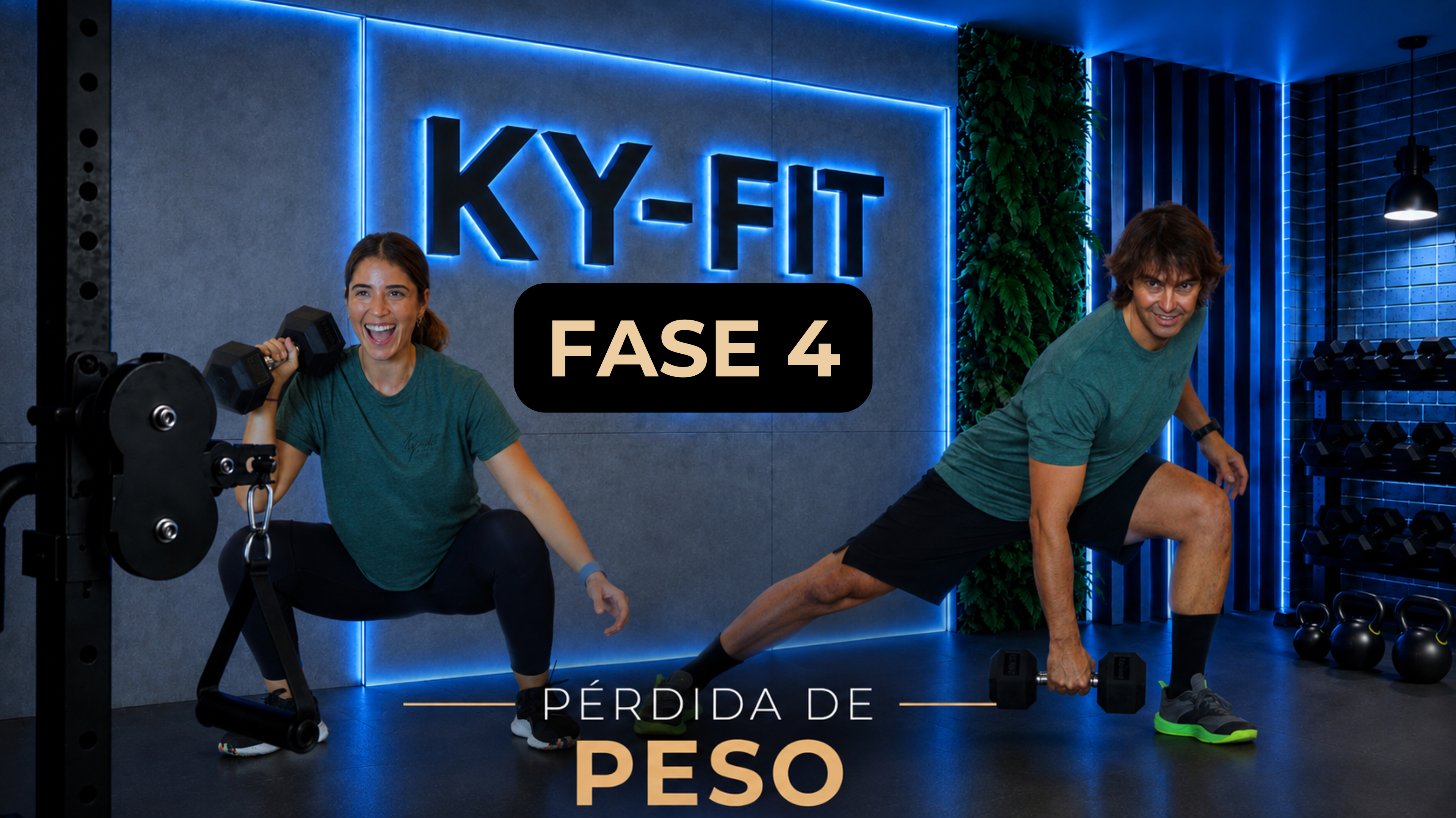 Fase 4