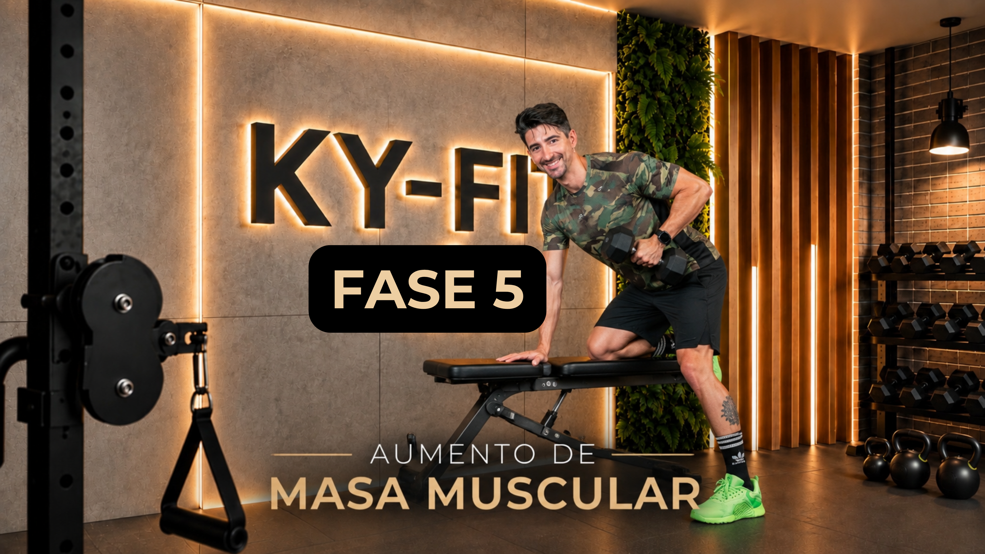 Fase 5