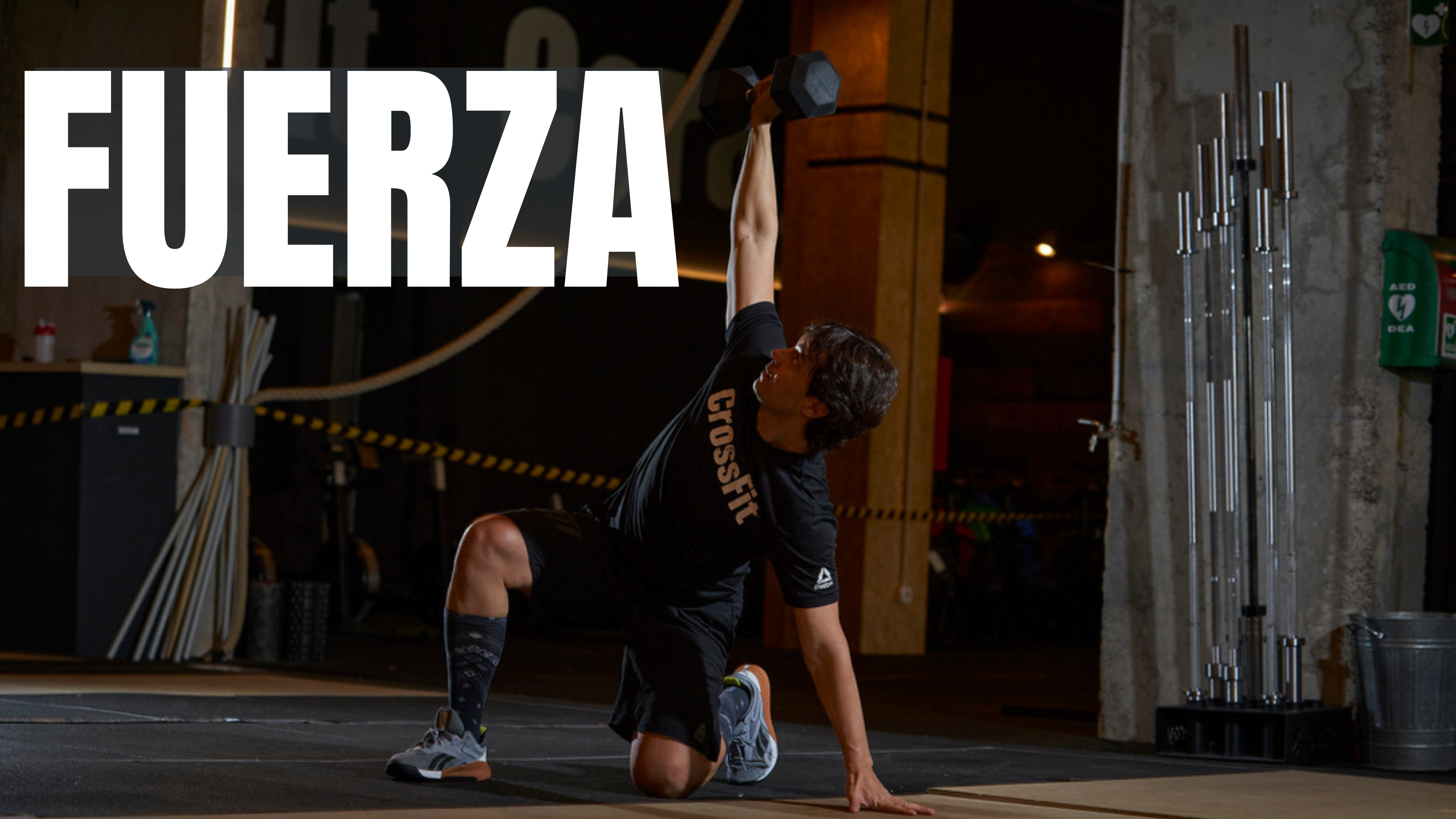 Todo FUERZA