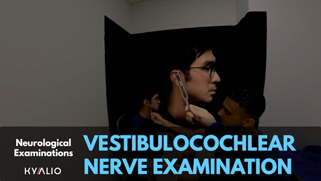 Vestibulocochlear Nerve Examination