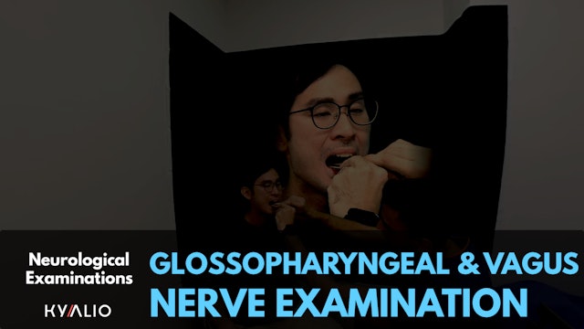 Glossopharyngeal & Vagus Nerve Examination