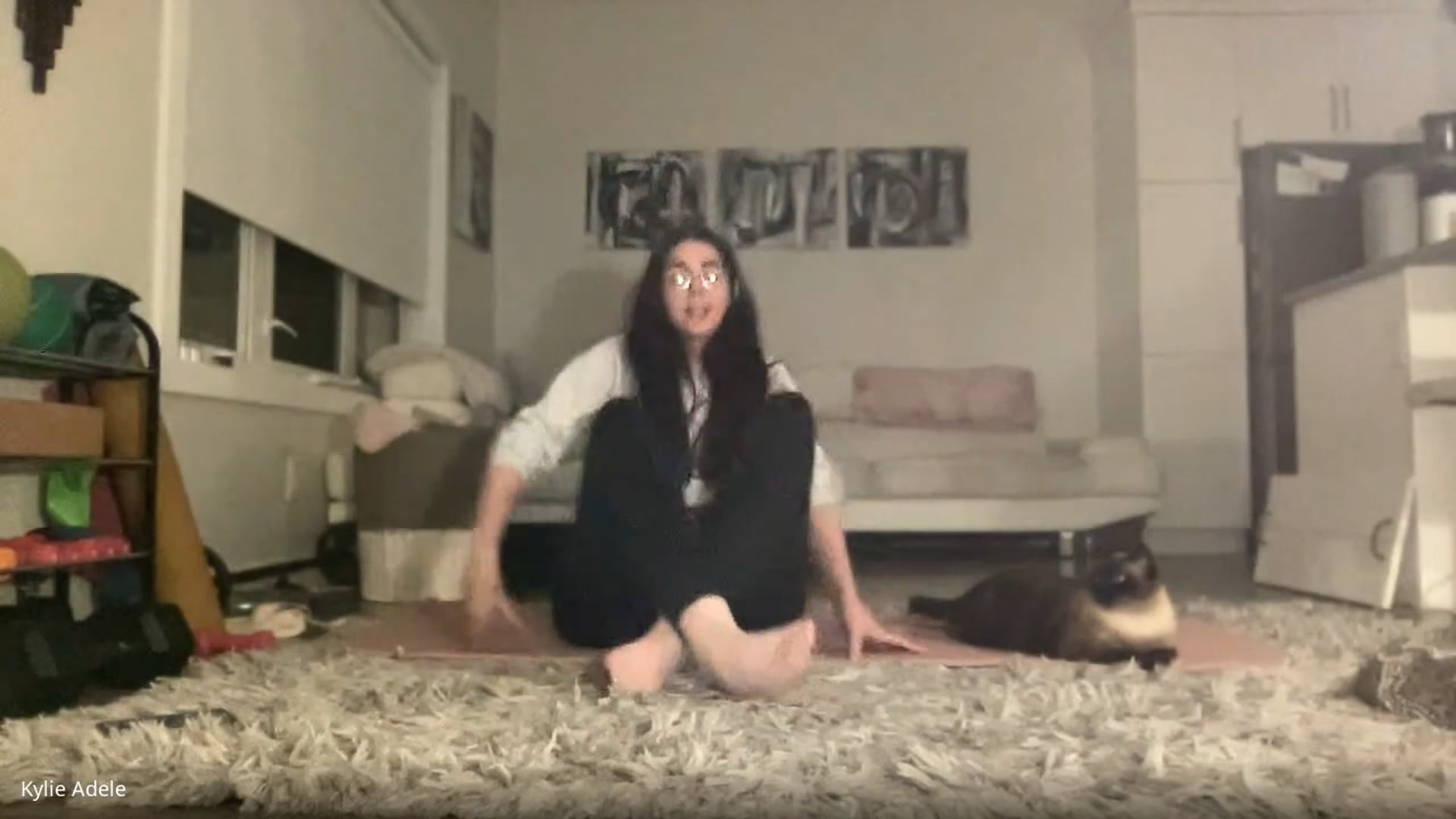 Gentle Flow Yoga with Kylie November 6 2024