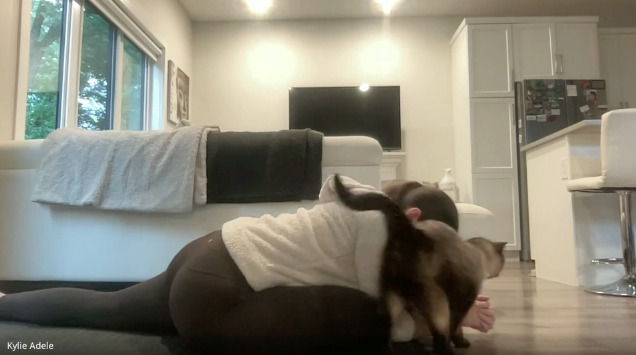 Gentle Flow Yoga with Kylie - July 14, 2025