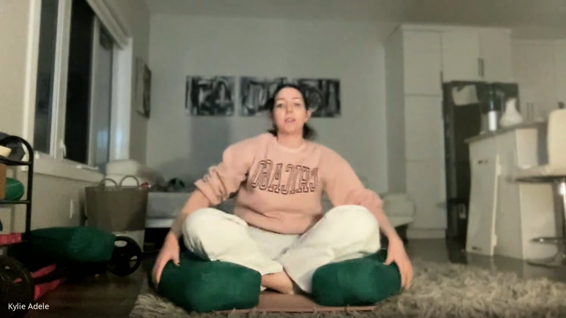 Gentle Flow Yoga with Kylie February 3 2025