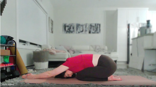 Gentle Flow Yoga with Kylie October 30 2024