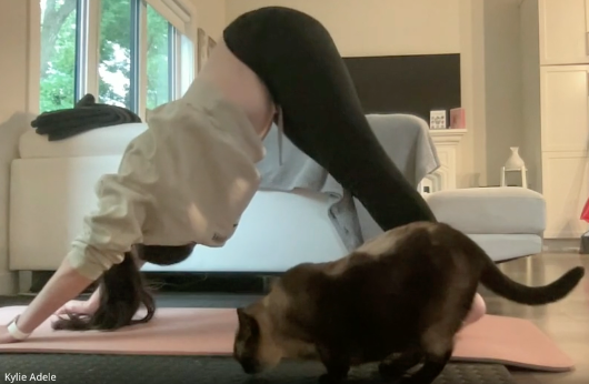 Gentle Flow Yoga with Kylie -June 9, 2025