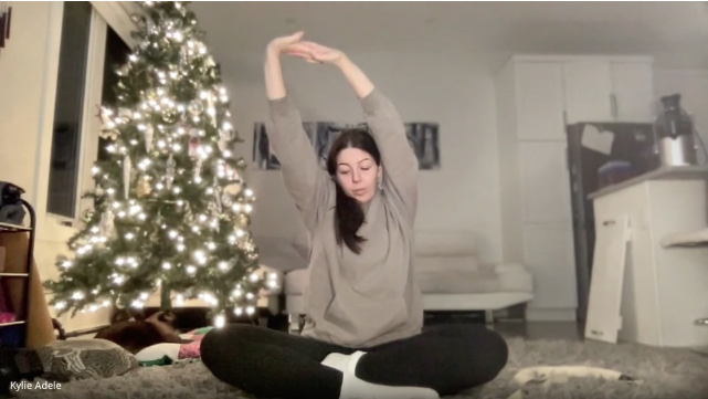 Gentle Flow Yoga with Kylie November 11 2024