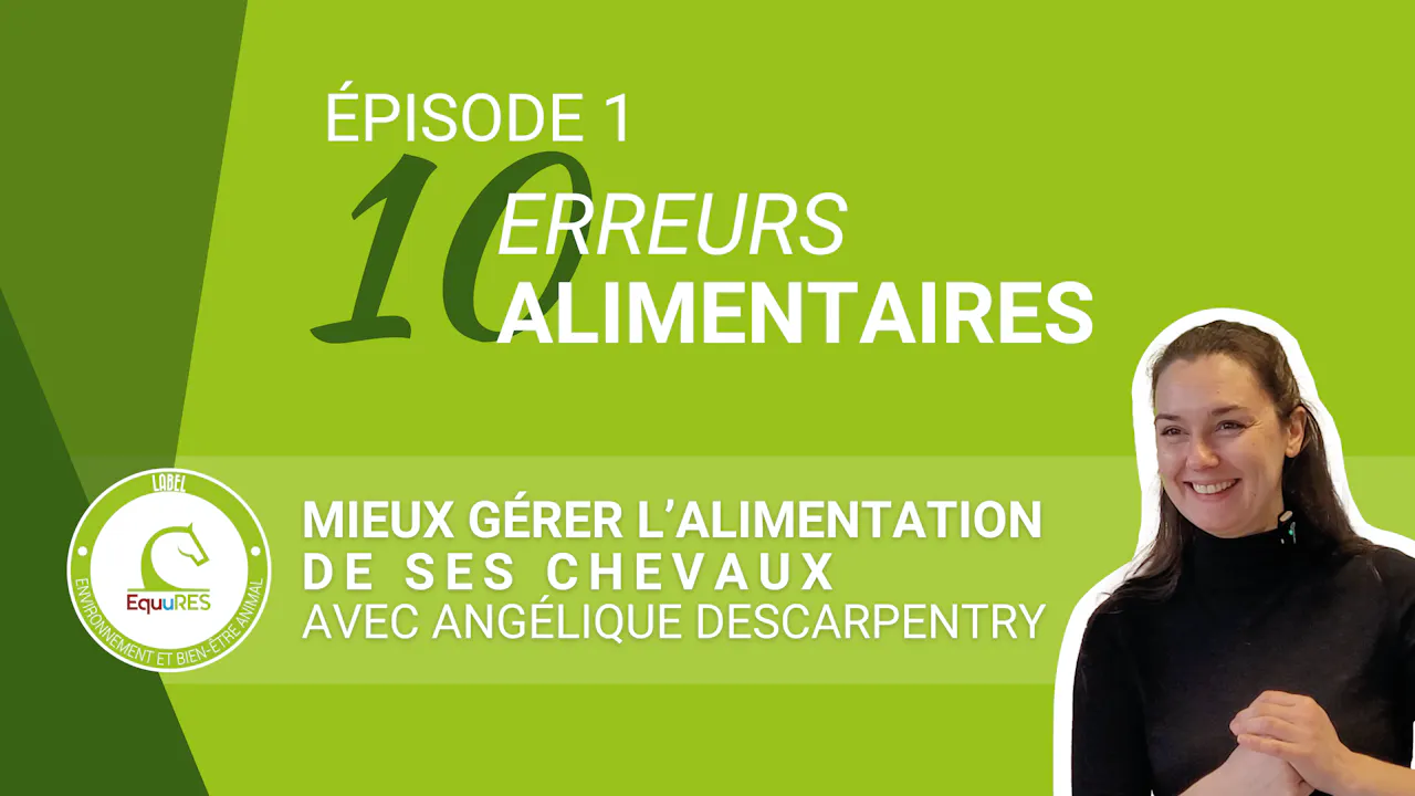 10 erreurs alimentaires pour votre cheval