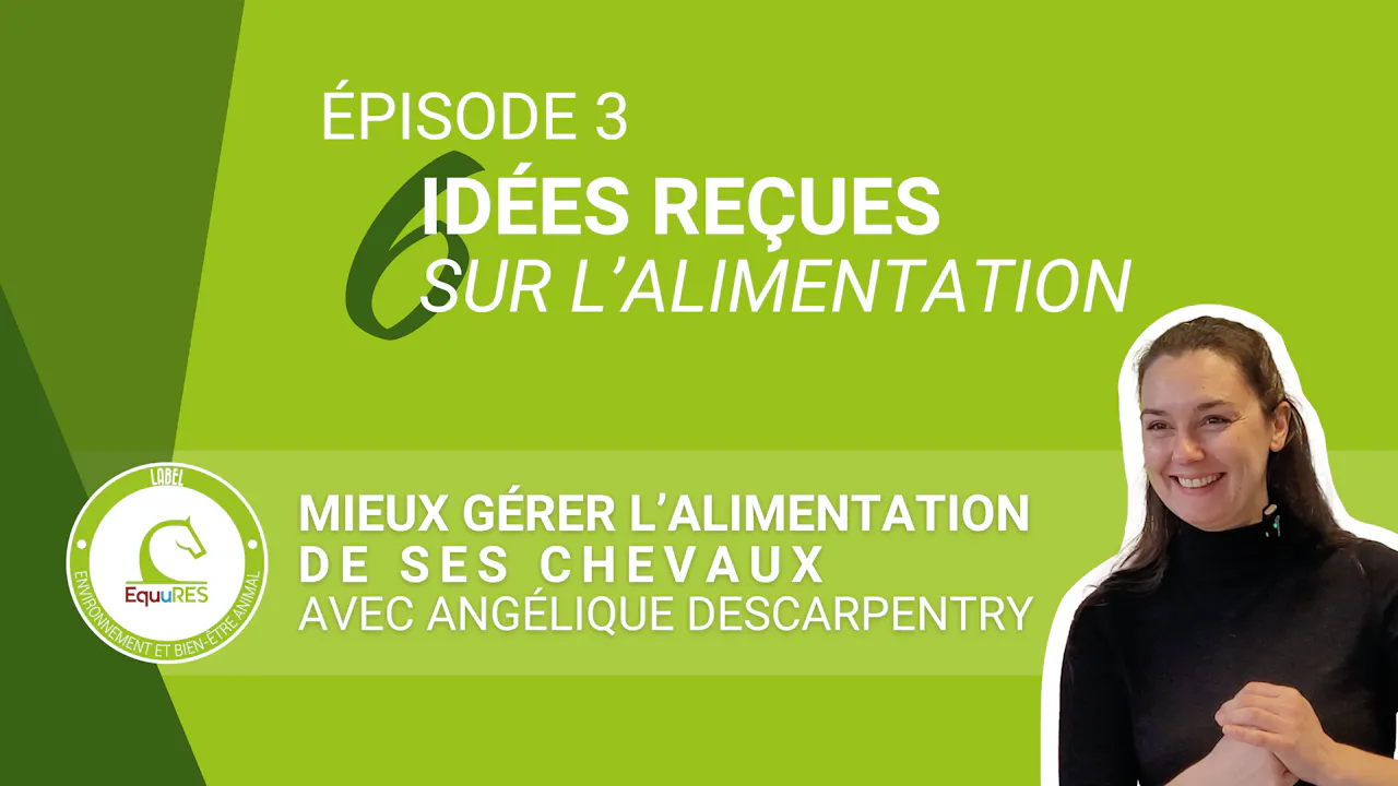 6 idées reçues sur l'alimentation
