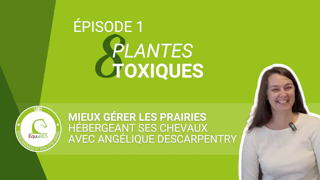 8 plantes toxiques pour votre cheval