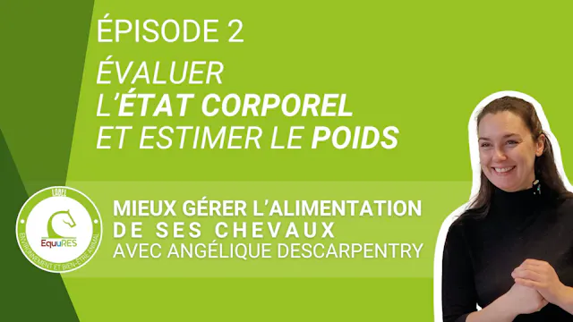 Mieux gérer l’alimentation de ses chevaux : Évaluer l’état corporel et estimer le poids