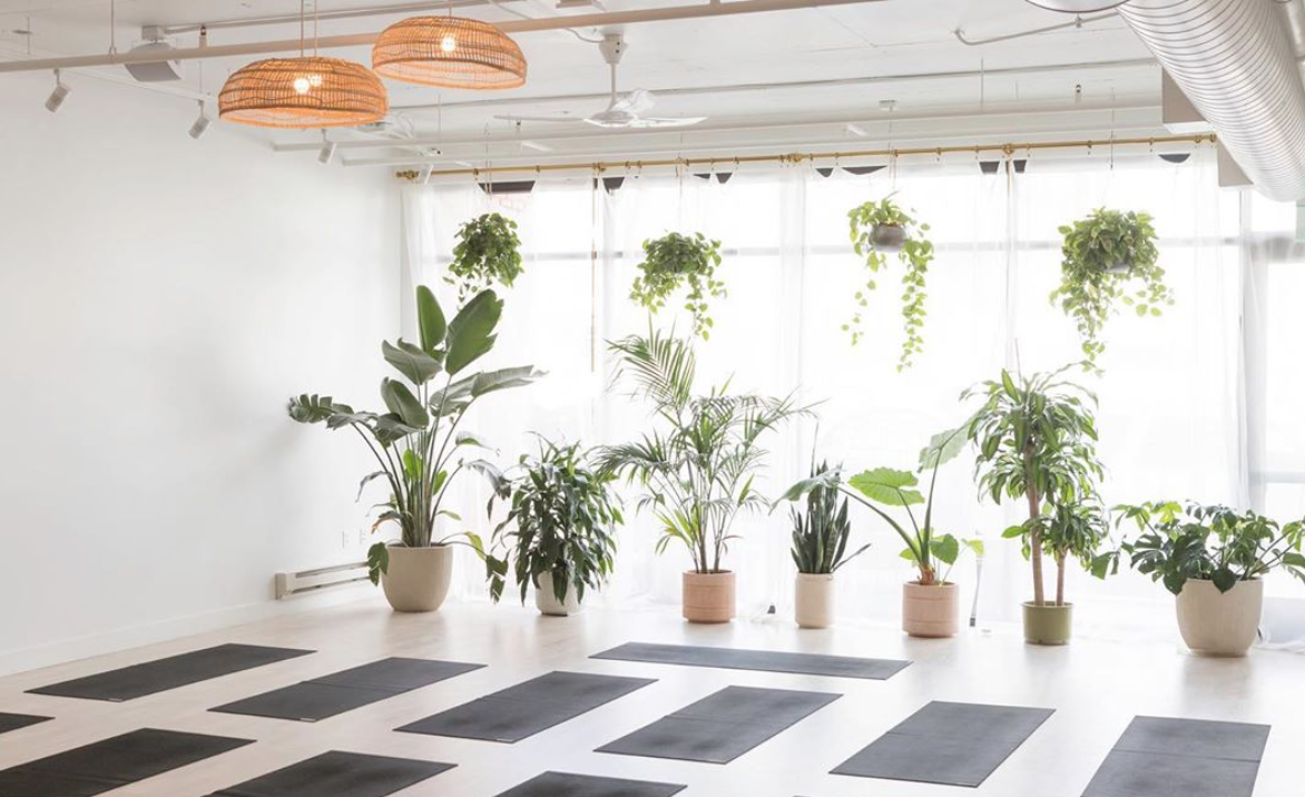 Workshops & Masterclasses