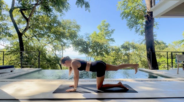 Mini Stability Practice