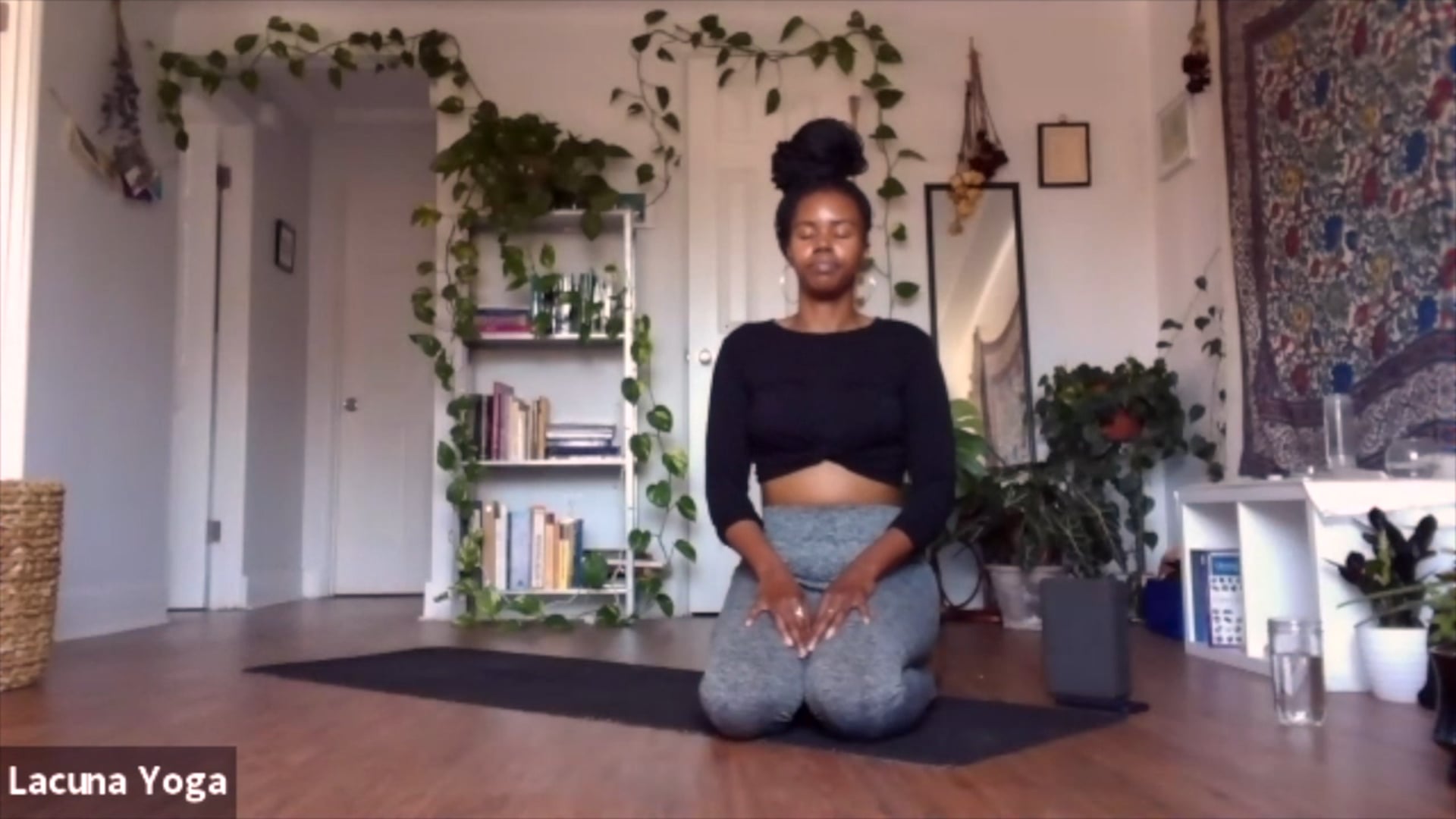 Davidia Livestream (4/13)