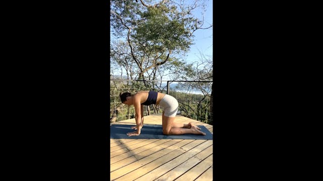 Lacuna Yoga LiveStream with Megan Whi...