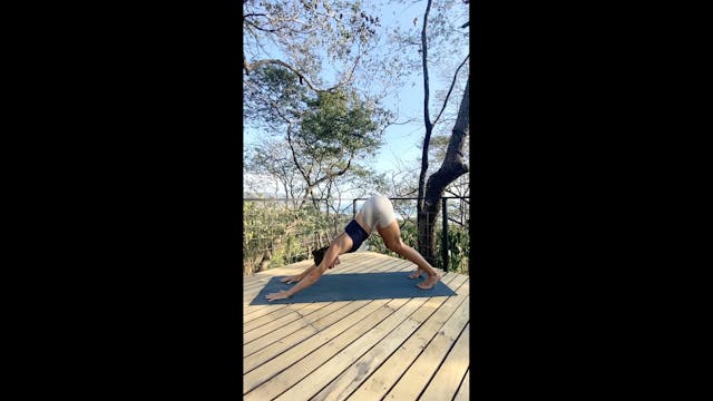 Katonah Yoga®️ Ground Of Being Practice
