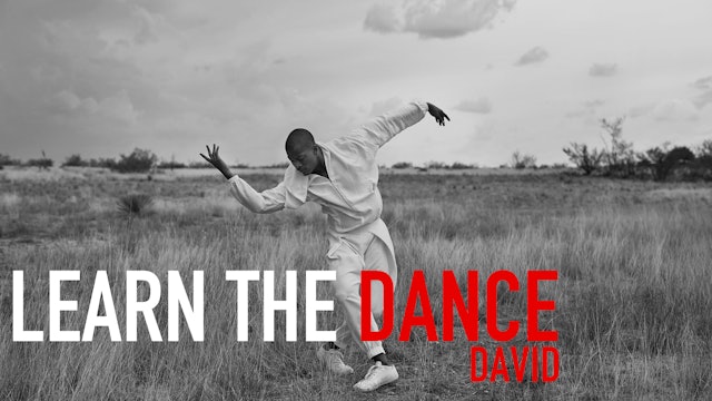 Learn the Dance 6 with David Adrian Freeland Jr.