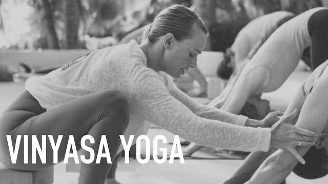 Vinyasa Yoga with Audra Stanley | Part 4